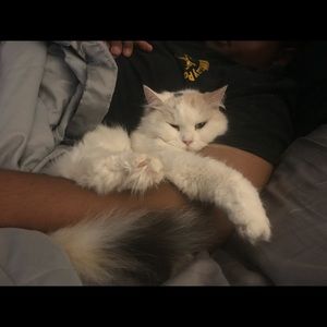 Meet your Posher, Grace